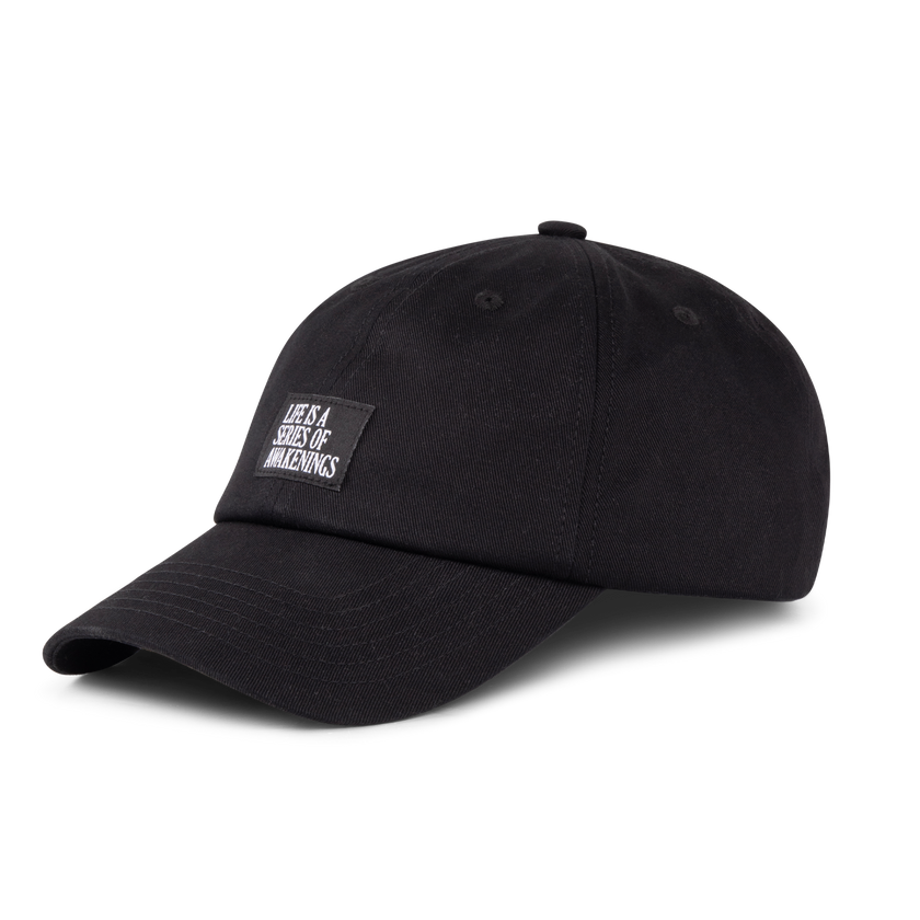 Awakenings Baseline Dad cap